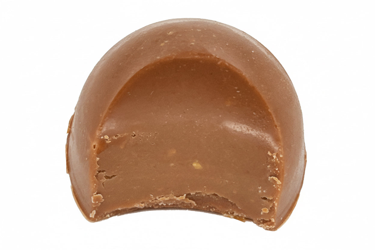 Milk Chocolate with Milk Chocolate Drizzle, Peanut/Salt-Filled Single Piece